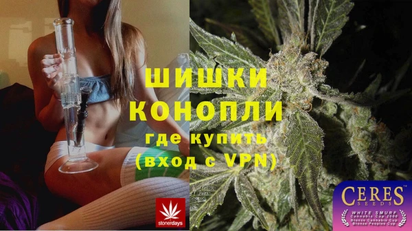 стаф Медвежьегорск