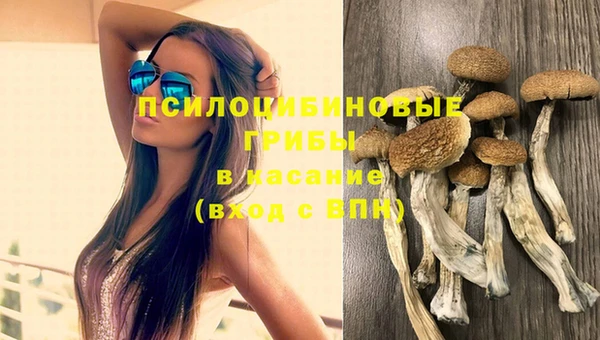 винт Михайлов
