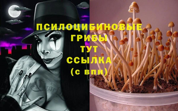 jwh Алагир