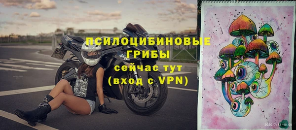 винт Михайлов